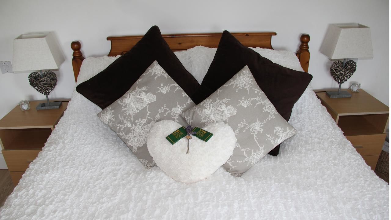 Проживание в семье Lodge Sycamore Hill Newcastle