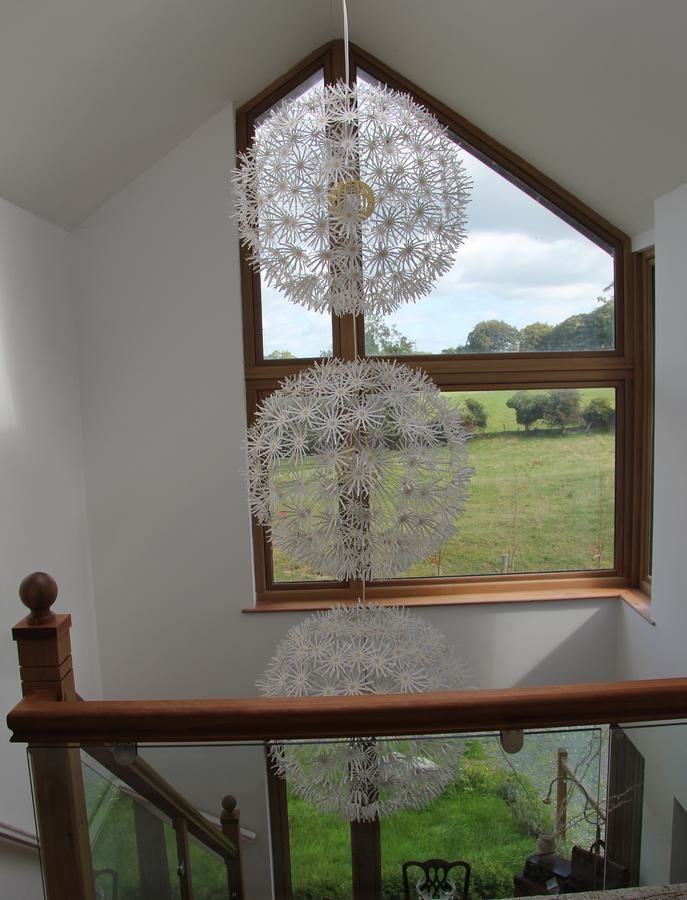 Проживание в семье Lodge Sycamore Hill Newcastle