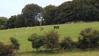 Проживание в семье Lodge Sycamore Hill Newcastle Апартаменты с балконом-19
